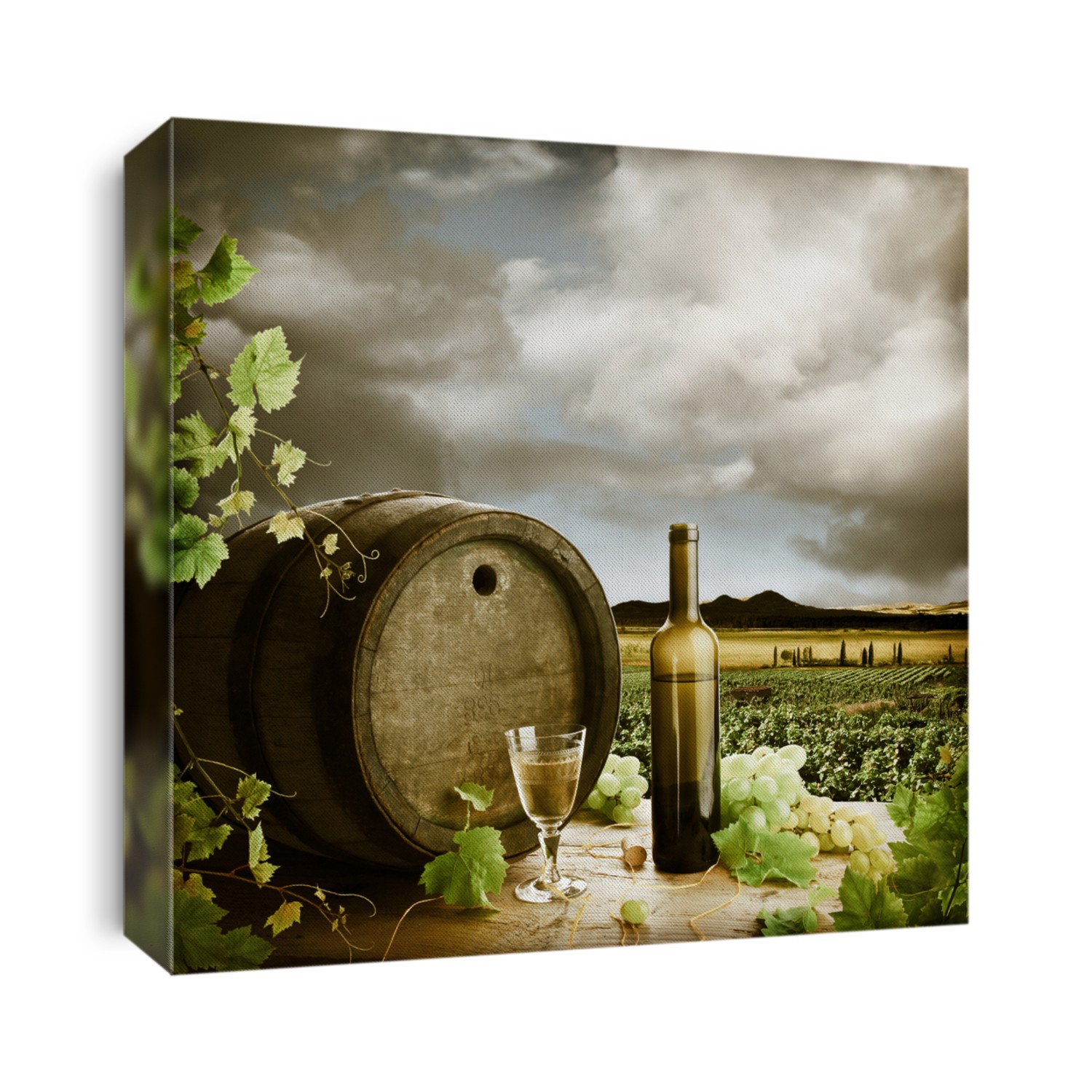 White wine and vineyard in vintage style