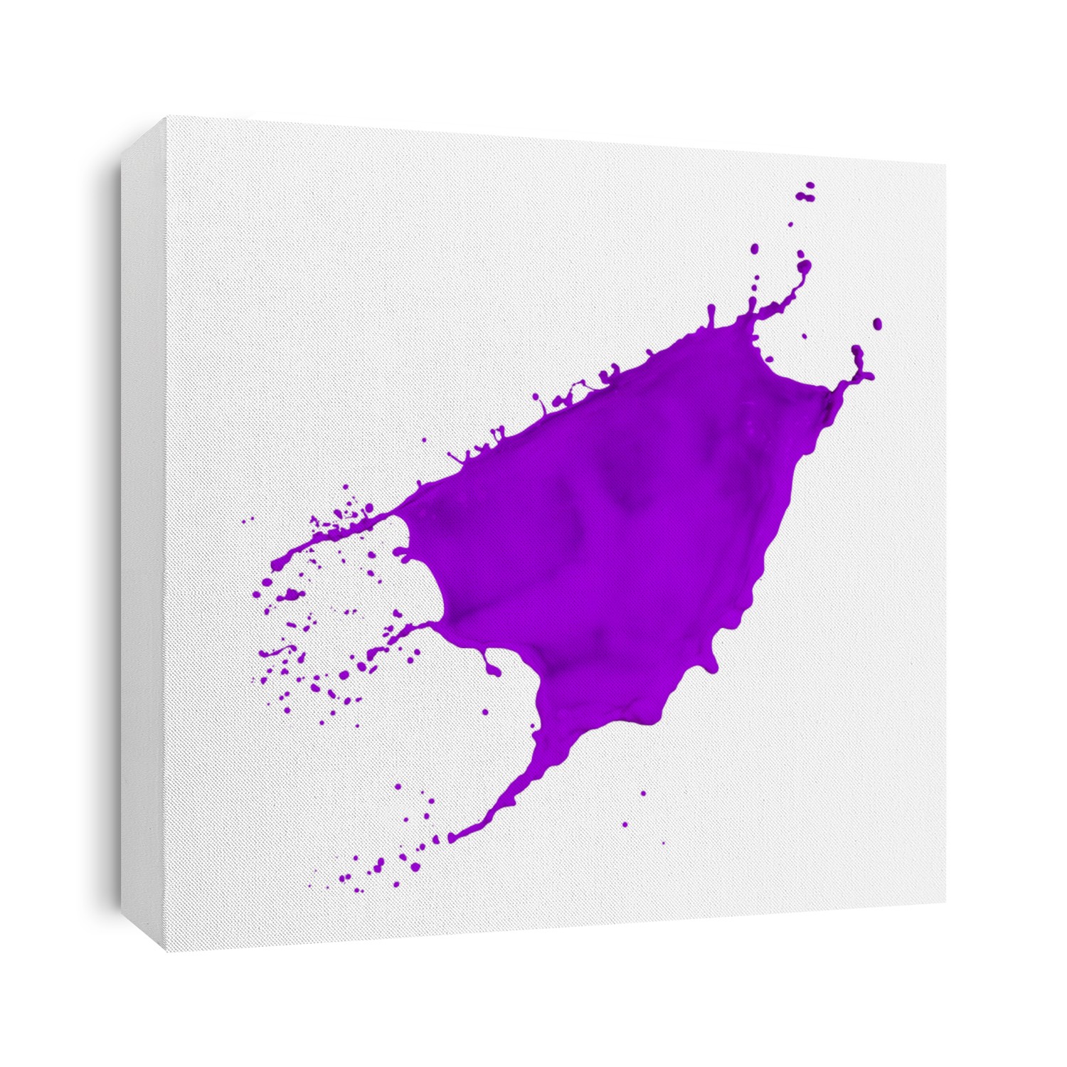 violet paint splash isolated on white background