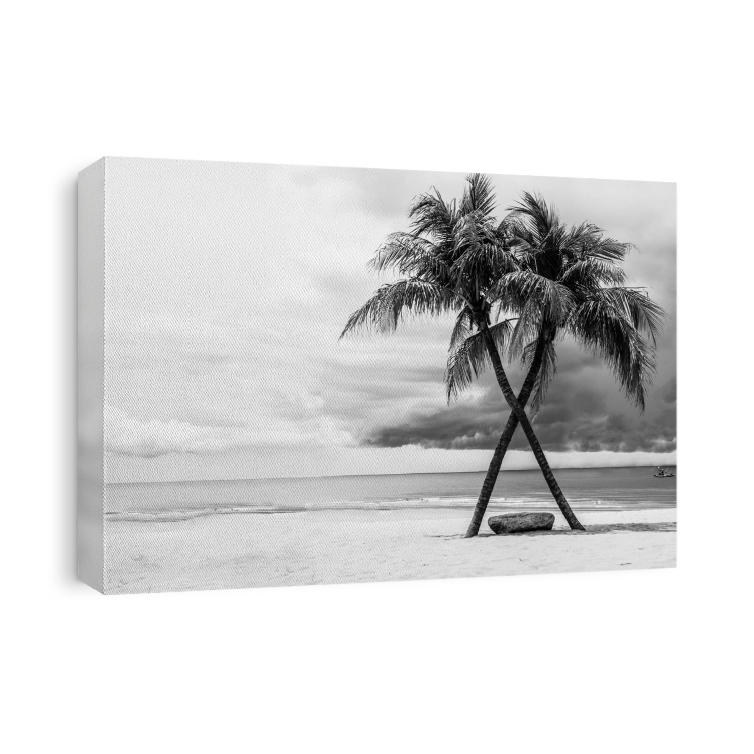 Black & White view of Beautiful beach with palms, Thailand