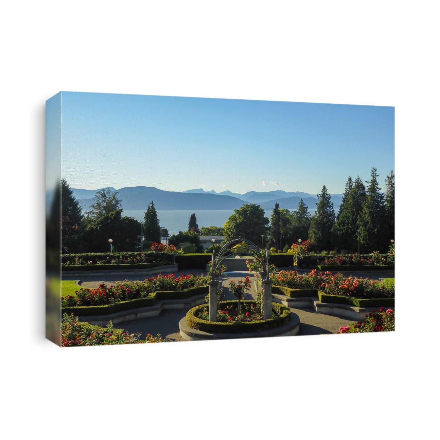 View of the famous rose garden of the university of british columbia campus facing the pacific ocean in vancouver